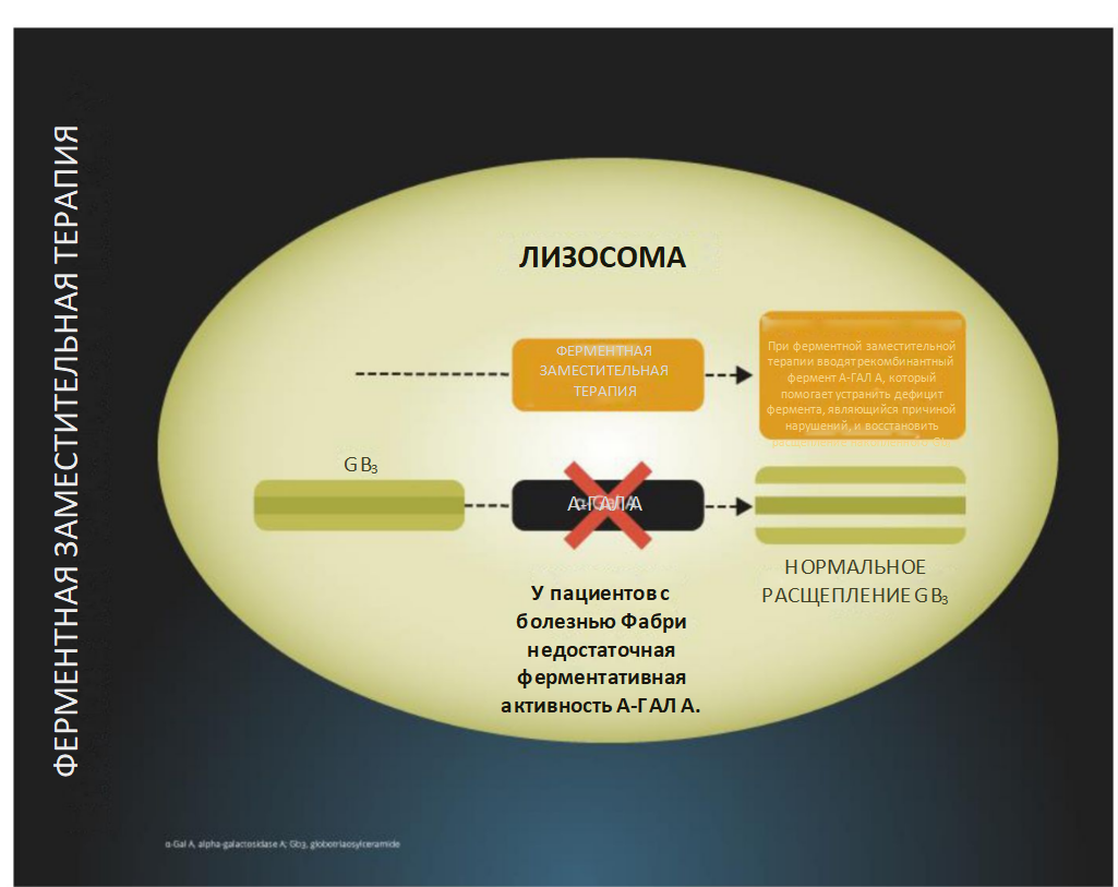 Enzyme replacement therapy