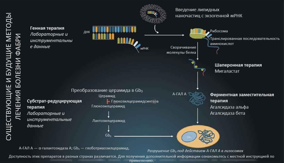 level-2-disease-management